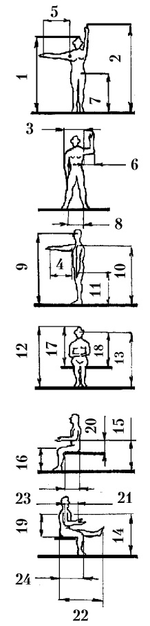 Приложение к таблице 24. Стандартные размеры тела человека, применяемые в эргономике, рекомендованные Институтом гигиены труда и профзаболеваний АМН СССР.